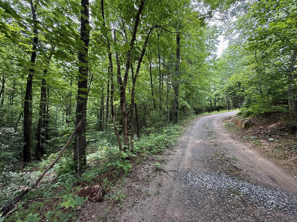 431108  Land