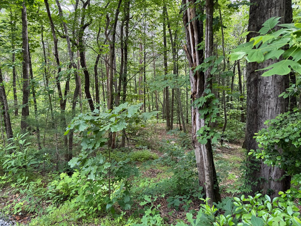 431108 Hiawassee
 Land