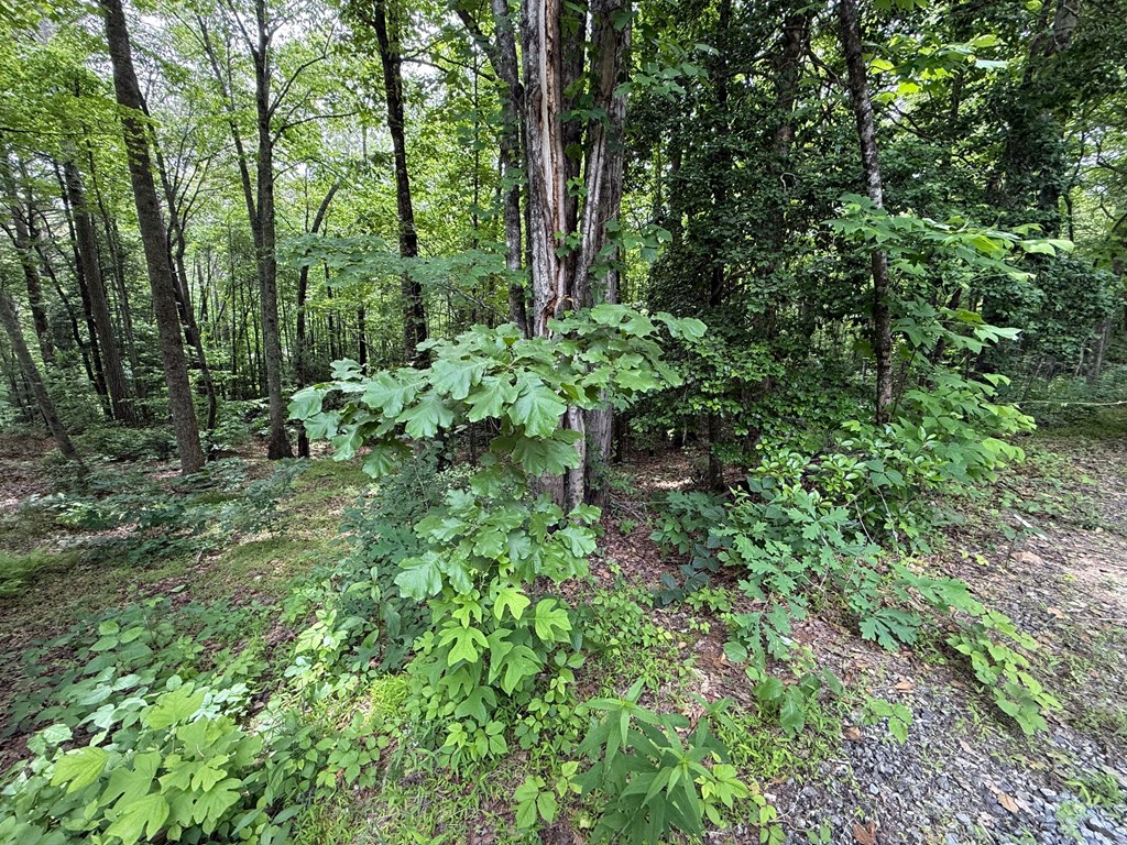 431108 Hiawassee
 Land