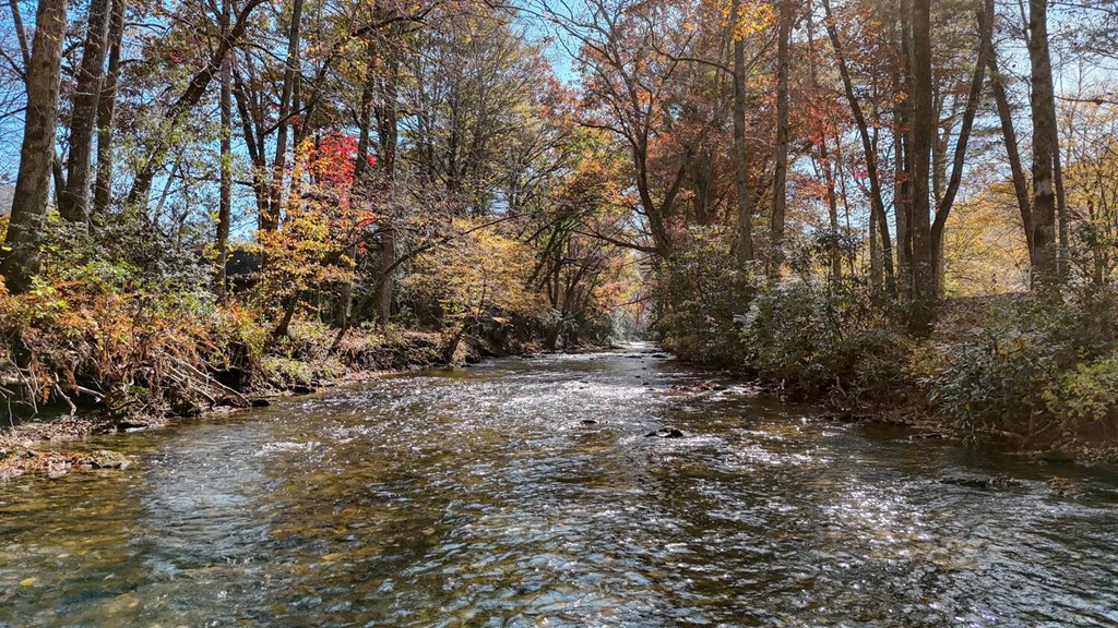 431111 Hiawassee
 Land