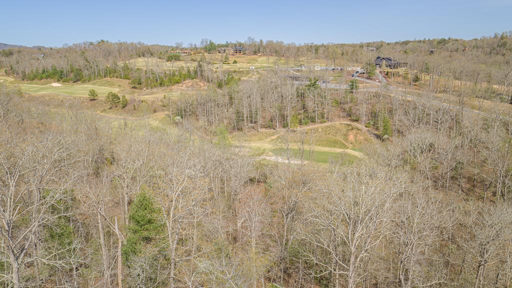 431119  Land
