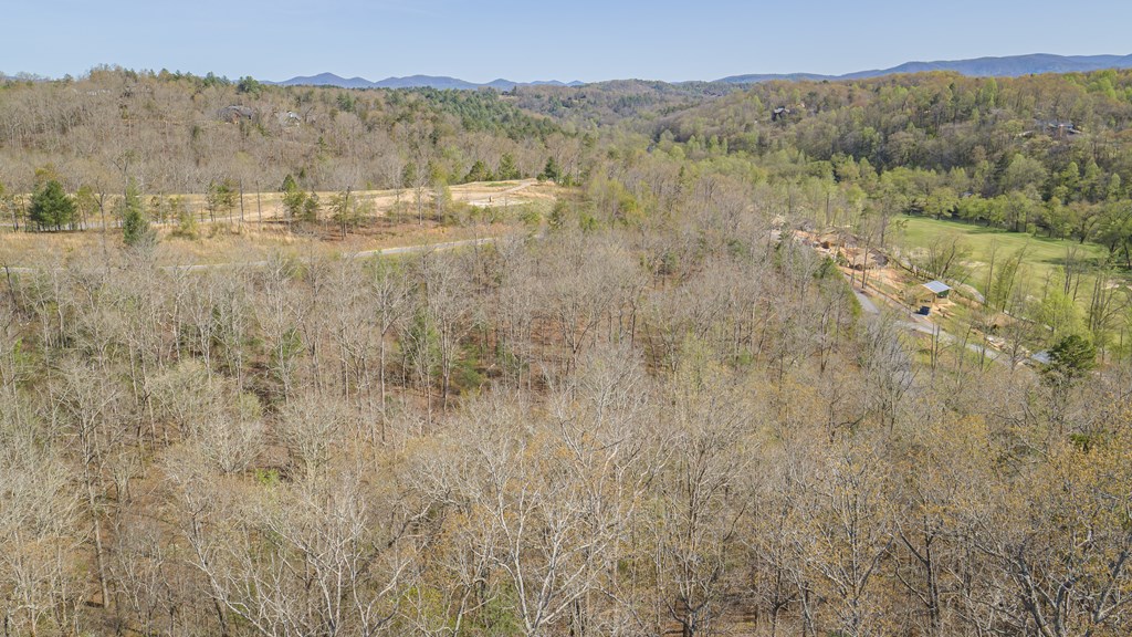 431123 Mineral Bluff
 Land