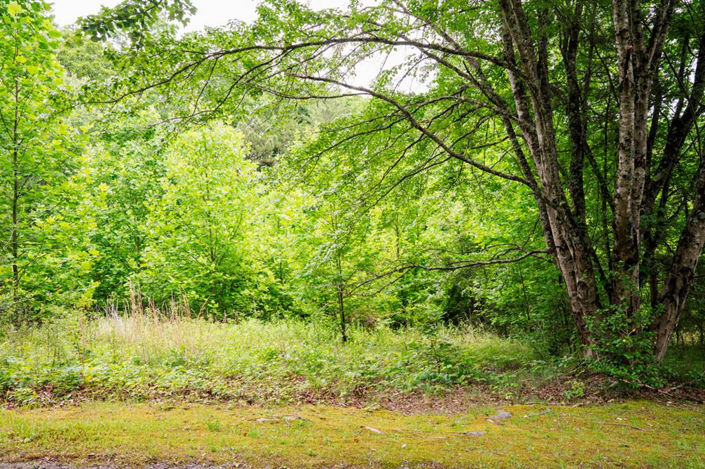 431125  Land