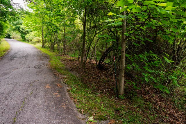 431125 Hayesville
 Land
