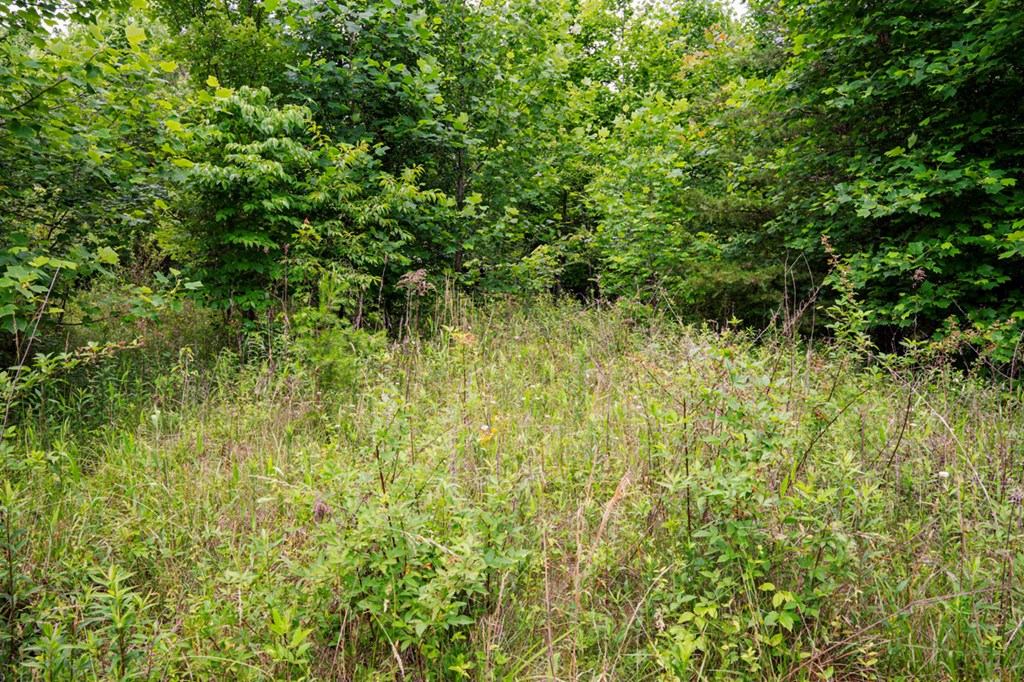 431125 Hayesville
 Land