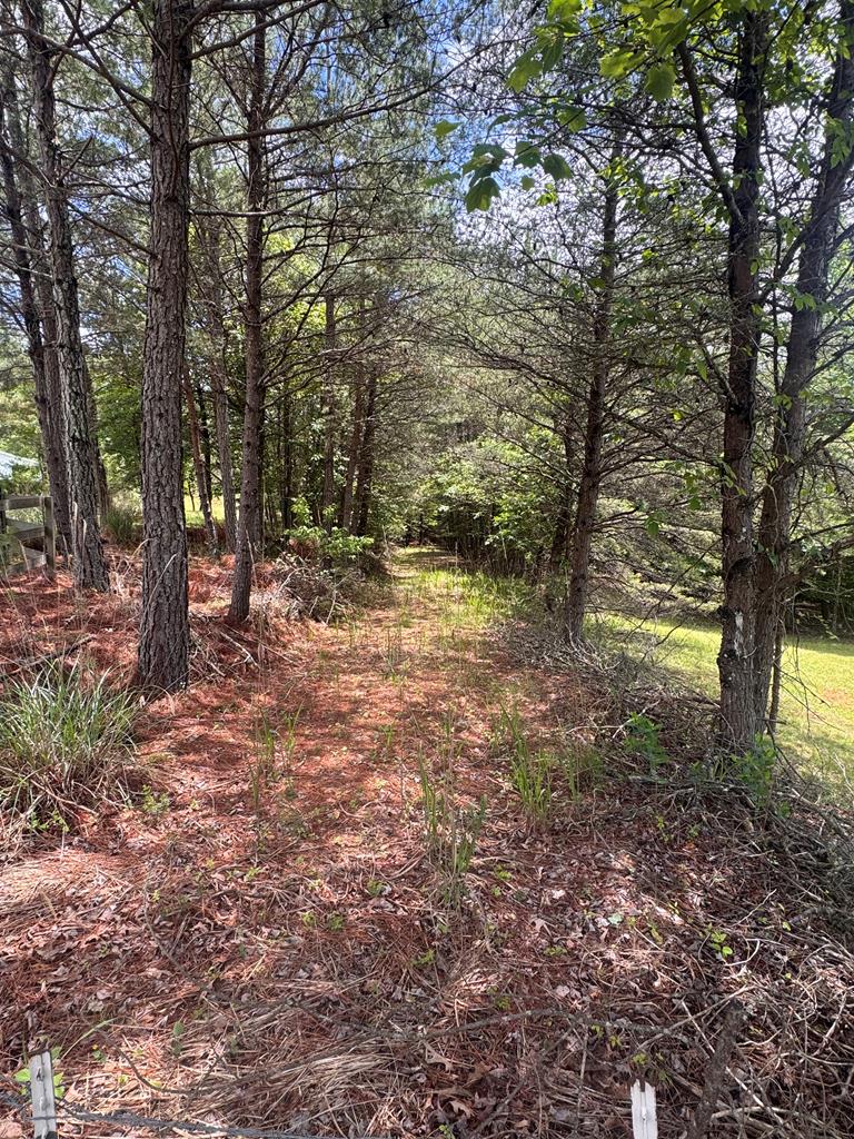 431129  Land