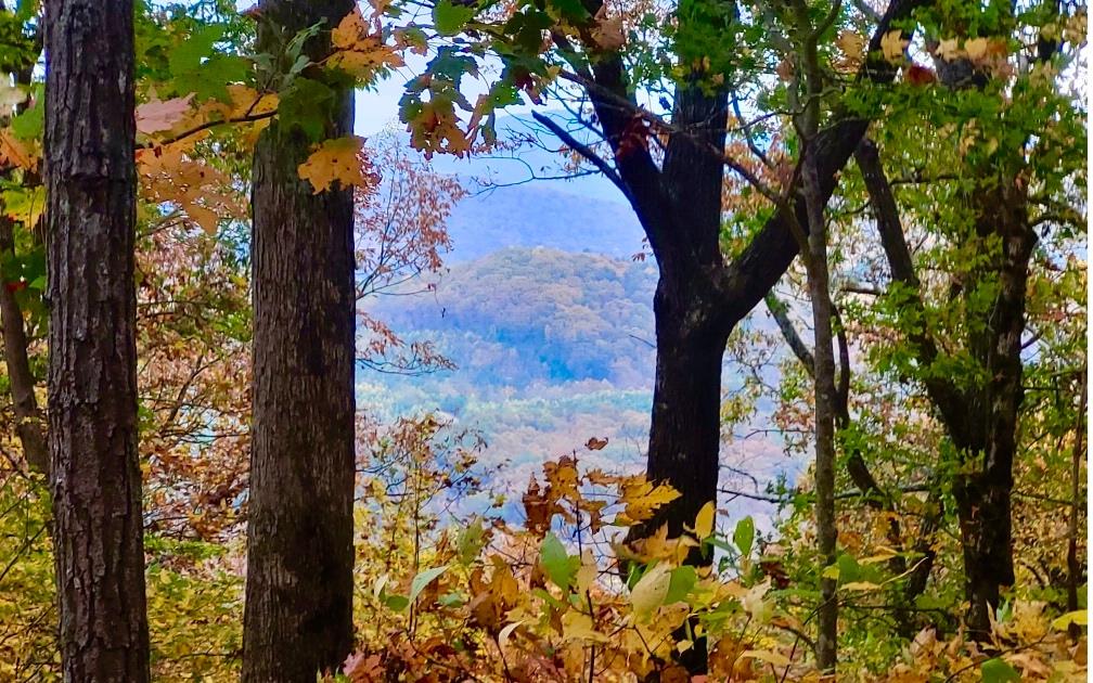 431131 Ellijay
 Land