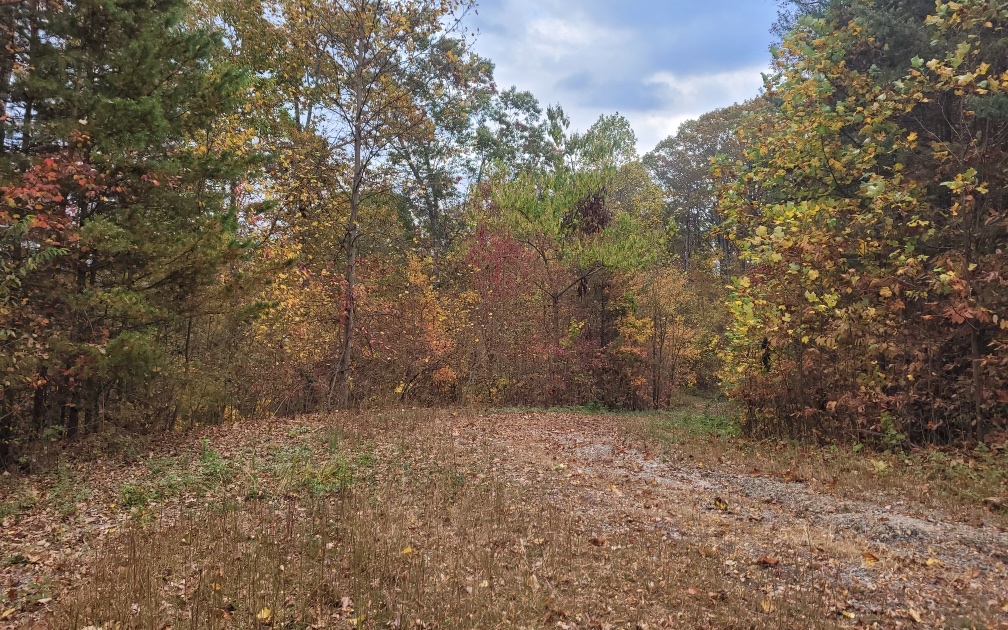 431131 Ellijay
 Land