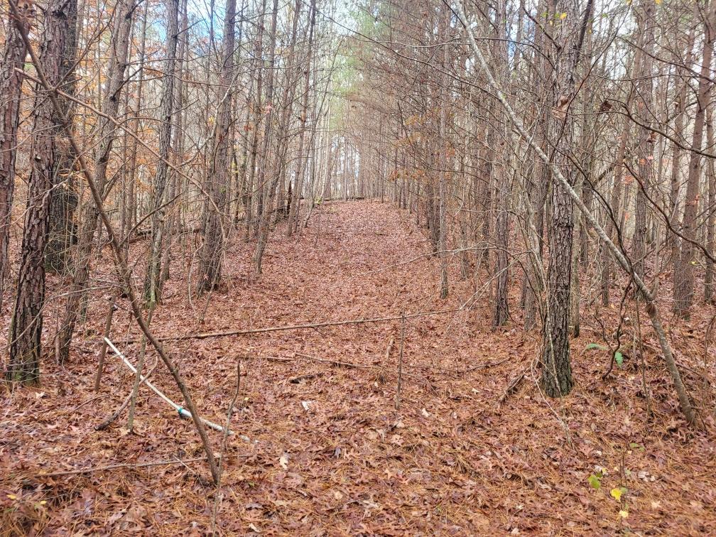 431136  Land