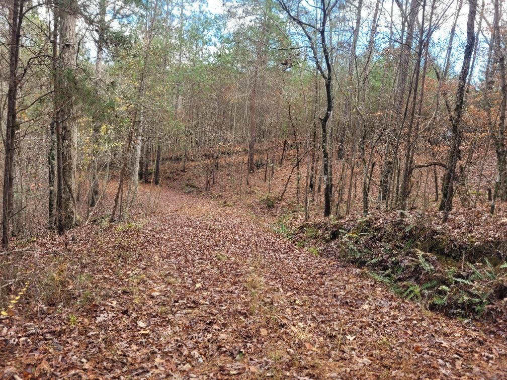 431136 Ellijay
 Land