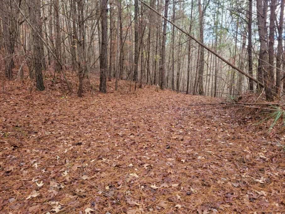 431136 Ellijay
 Land