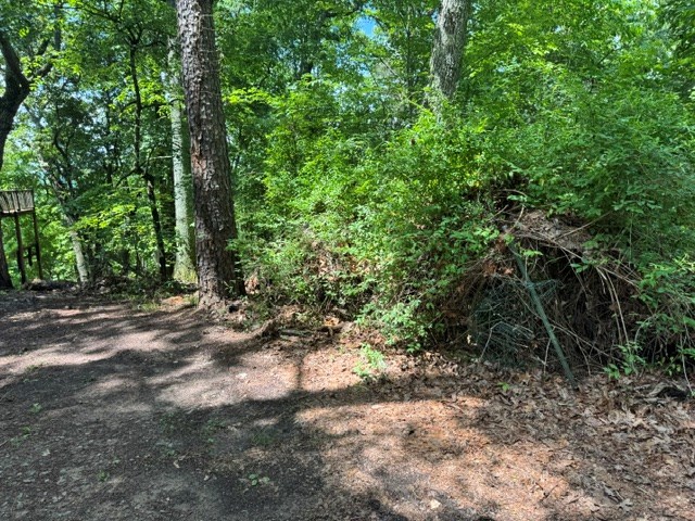 431151 Blairsville
 Land