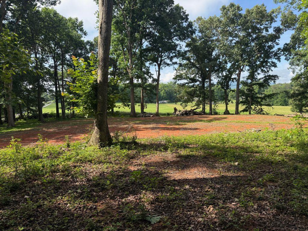 431160  Land