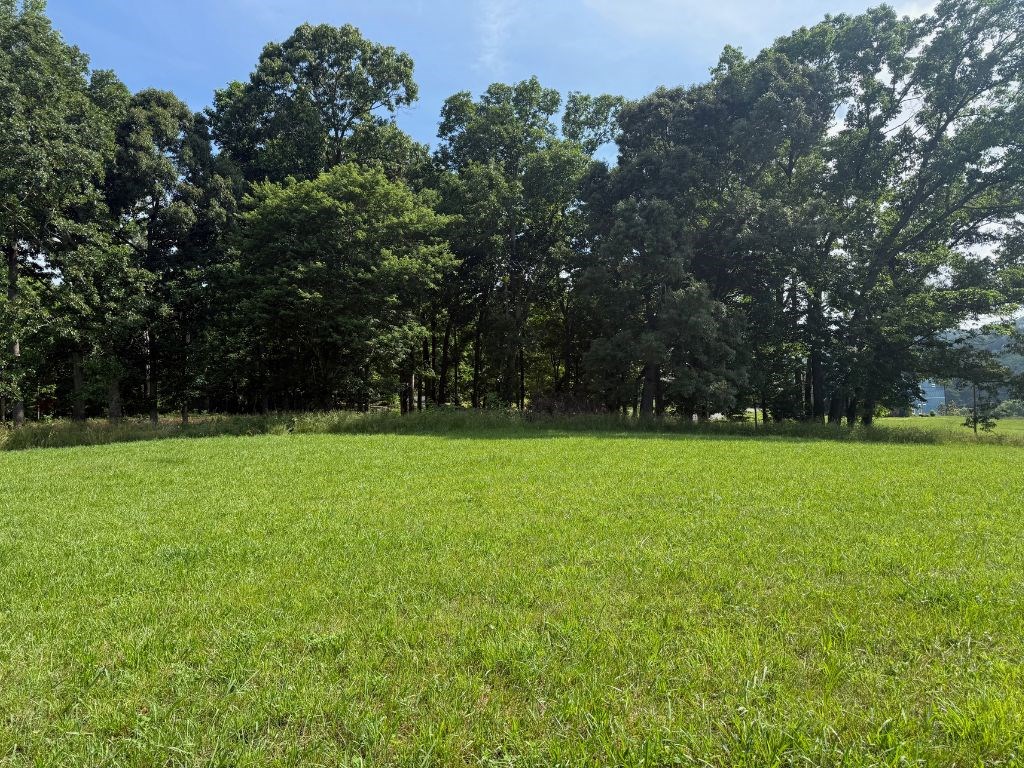 431160 Hiawassee
 Land