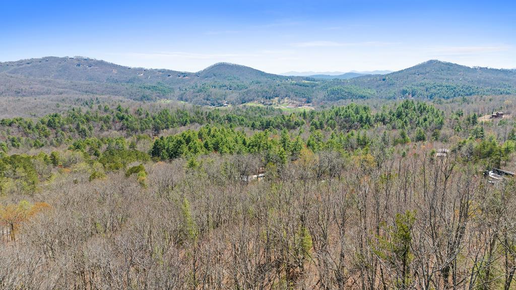 431164 Mineral Bluff
 Land