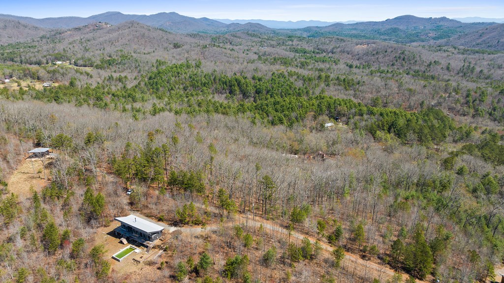 431164 Mineral Bluff
 Land