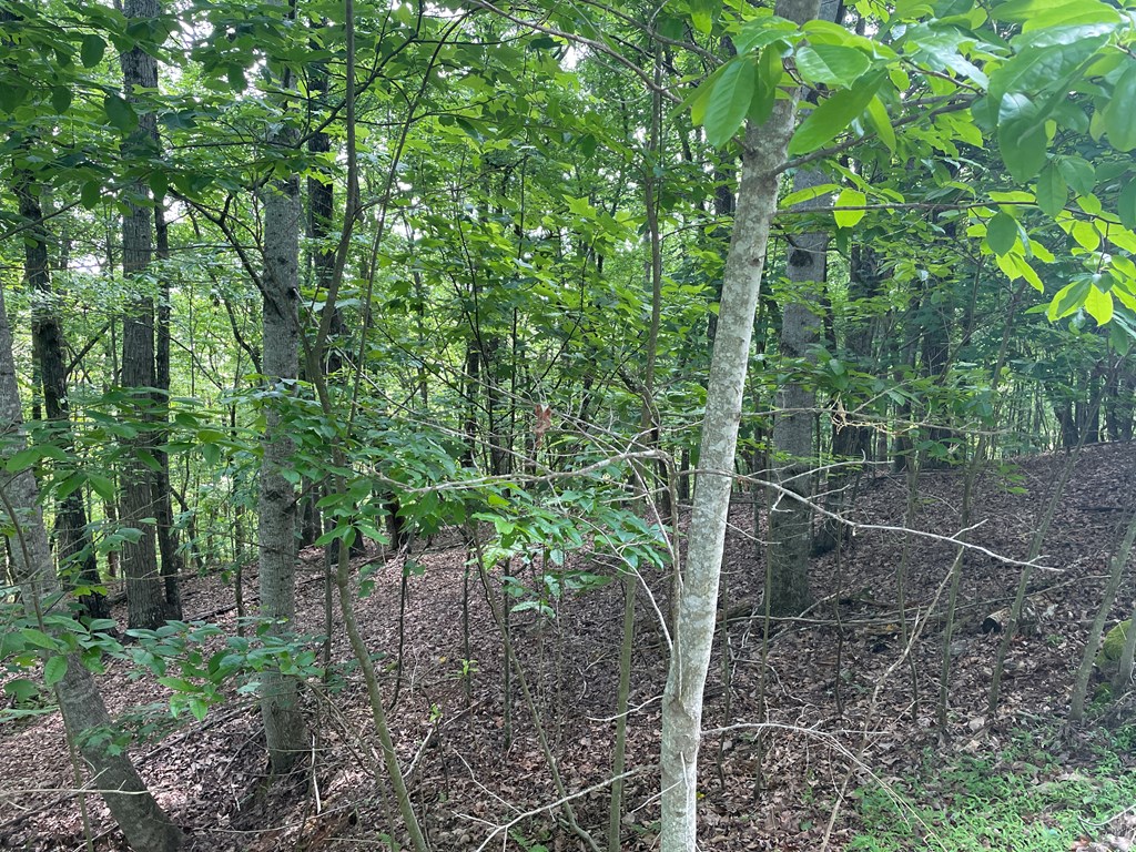431166 Blairsville
 Land
