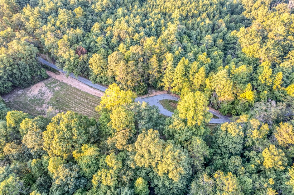 431169 Blue Ridge
 Land