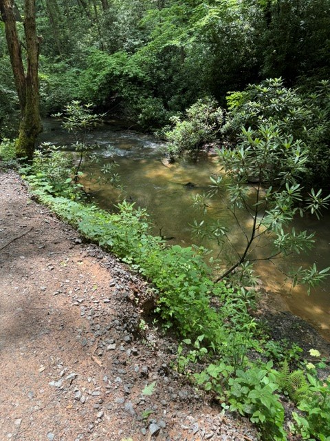 431170 Ellijay
 Land