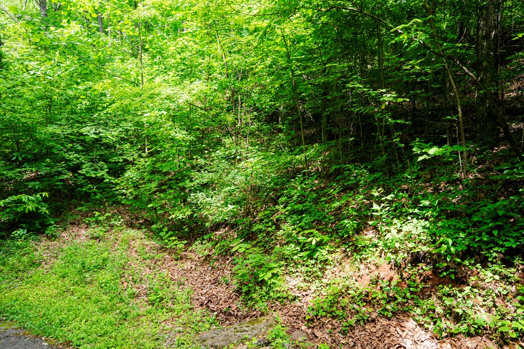 431171 Hayesville
 Land