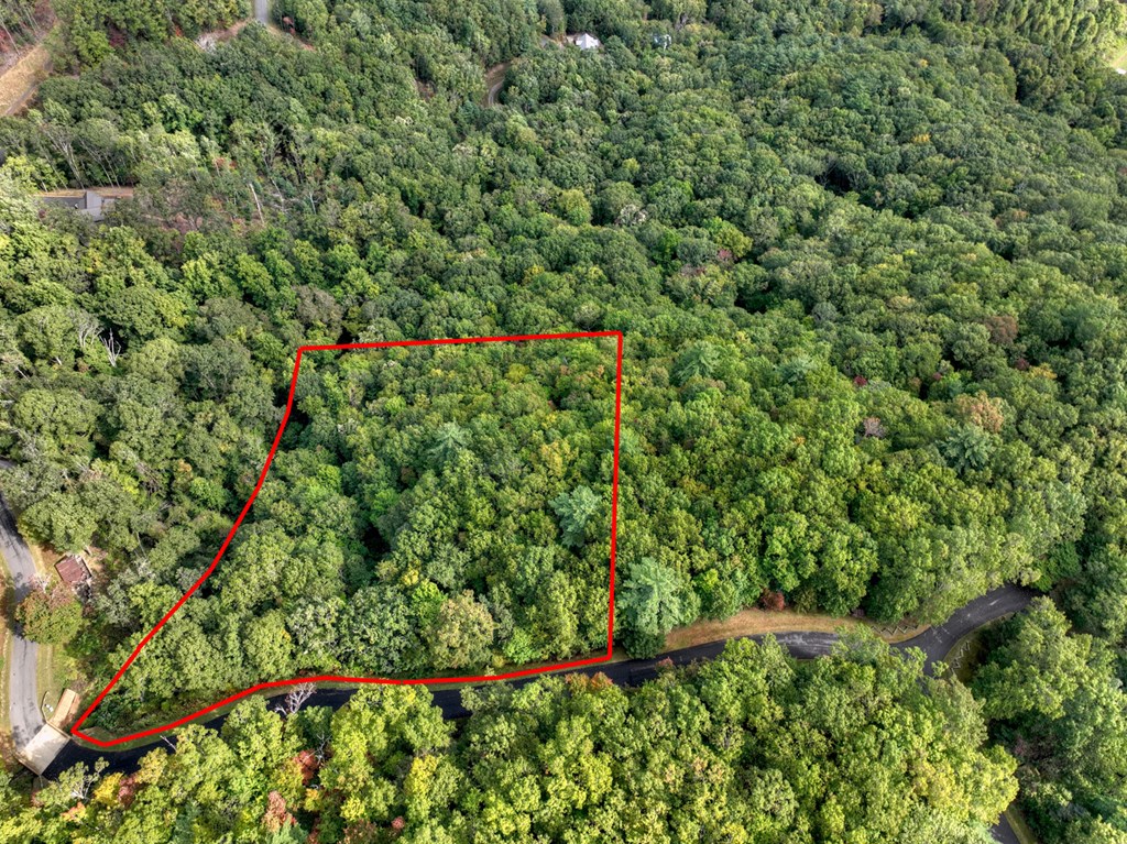 431172 Ellijay
 Land