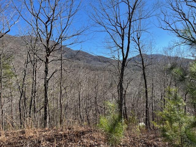 431175  Land