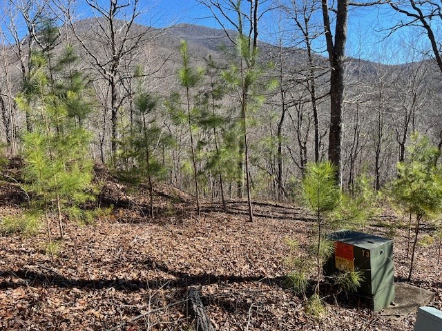 431175 Hiawassee
 Land