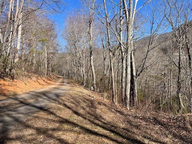 431175 Hiawassee
 Land