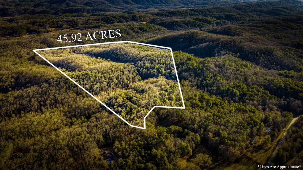 431177 Mineral Bluff
 Land