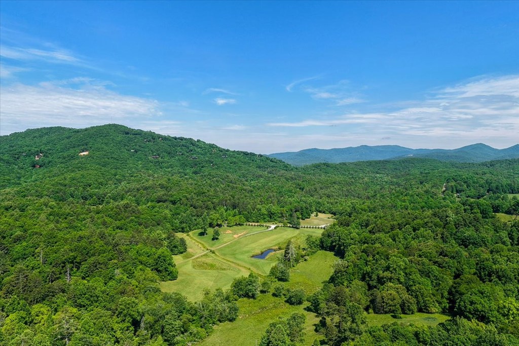 431191 Mineral Bluff
 Land