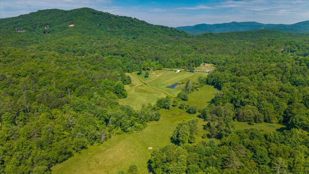 431191 Mineral Bluff
 Land