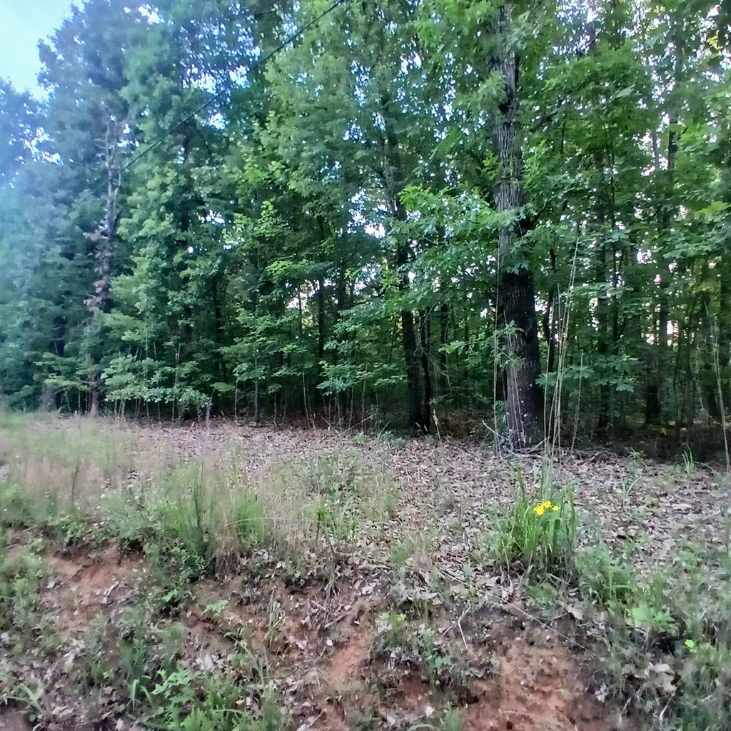 431202  Land