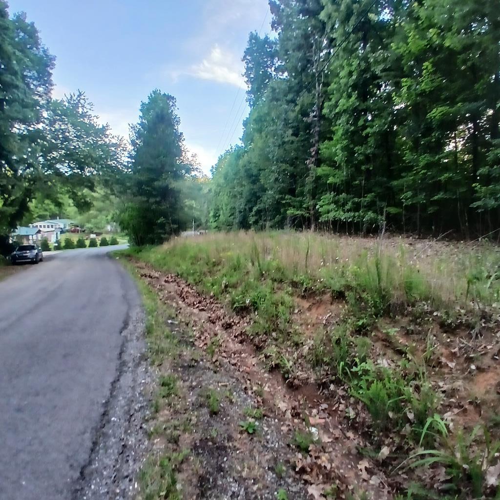 431203  Land