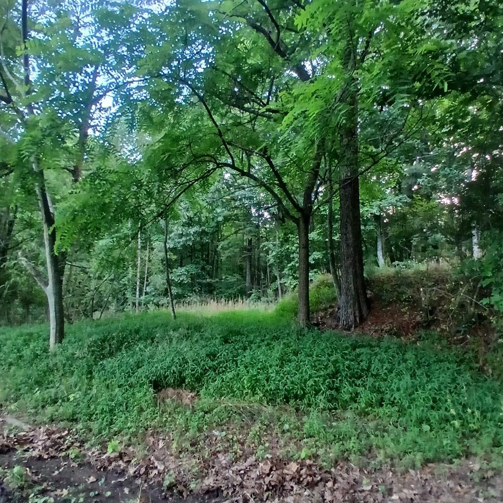 431203 Talking Rock
 Land