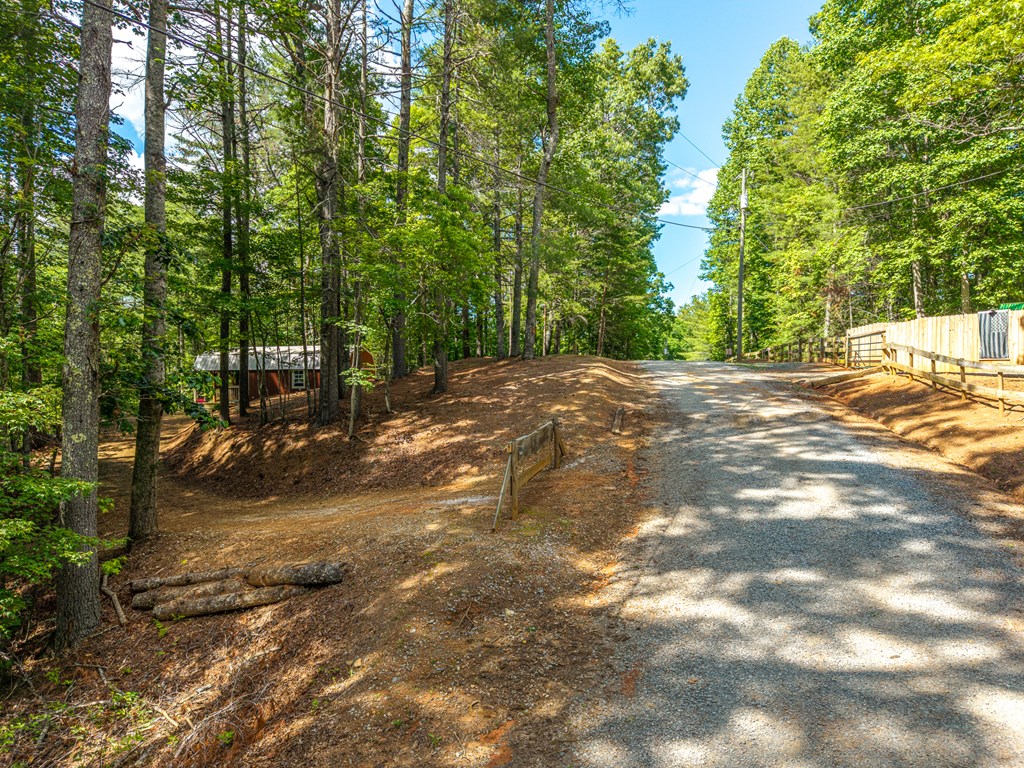 431211 Ellijay
 Land
