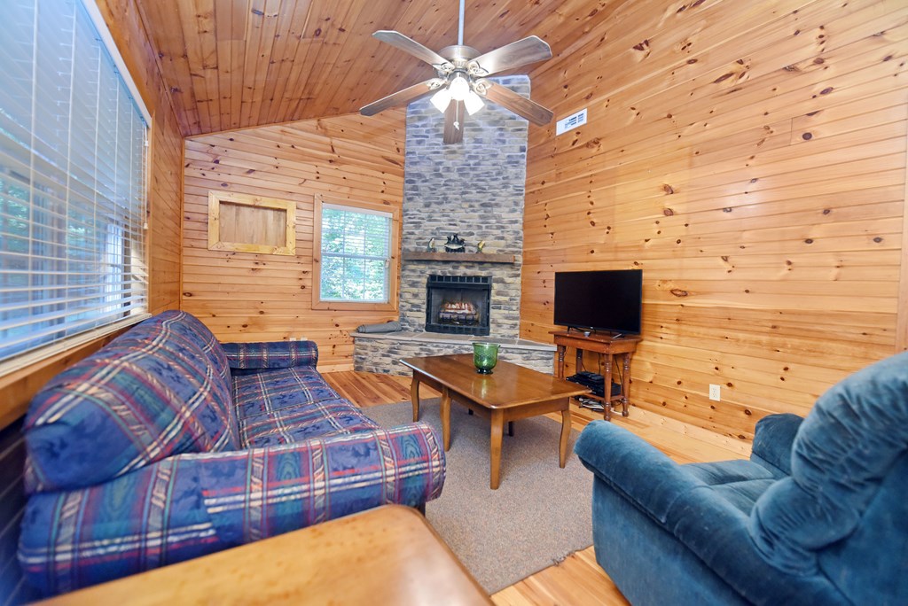 431216 Mineral Bluff Active