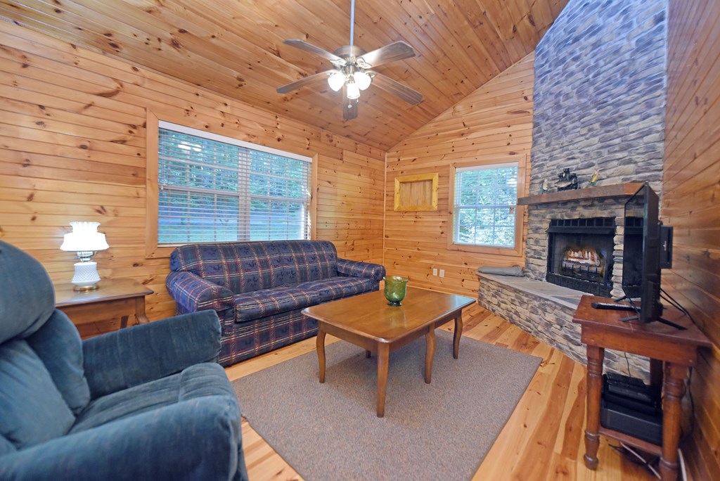 431216 Mineral Bluff Active
