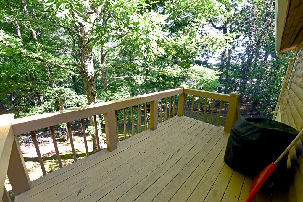 431216 Mineral Bluff Active