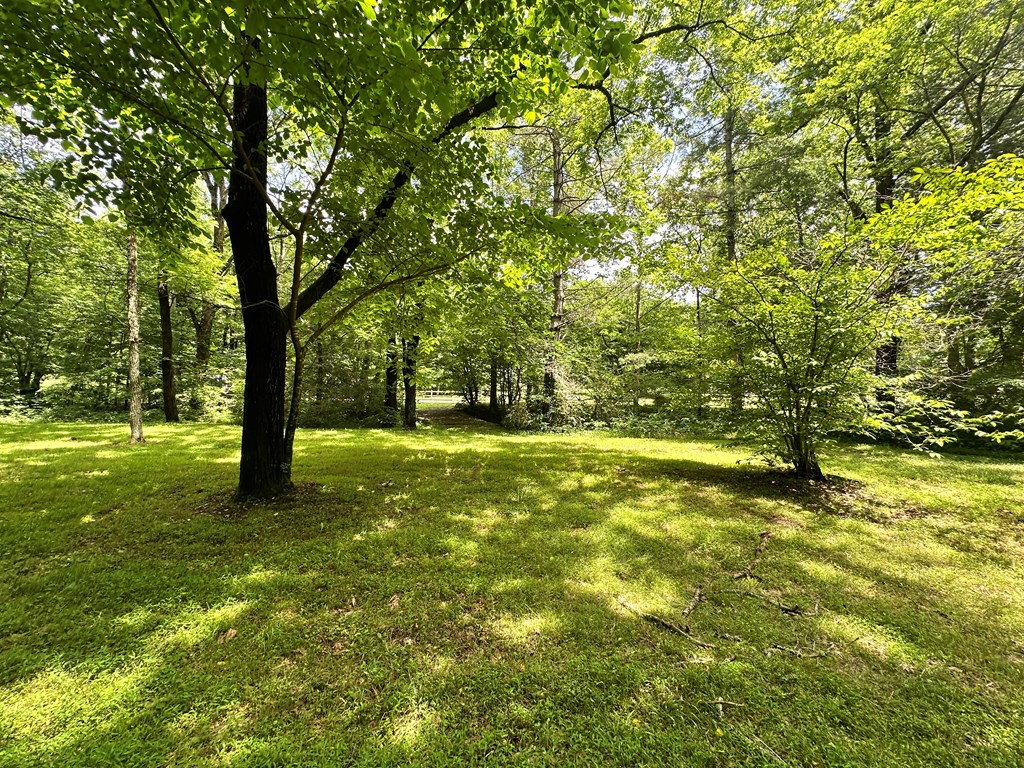 431218 Hayesville
 Land