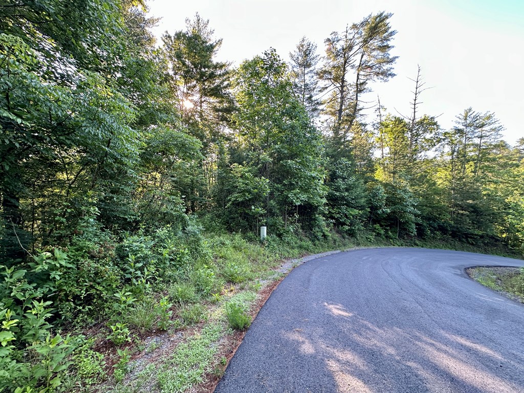 431227 Ellijay
 Land