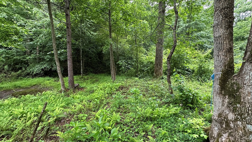 431227 Ellijay
 Land