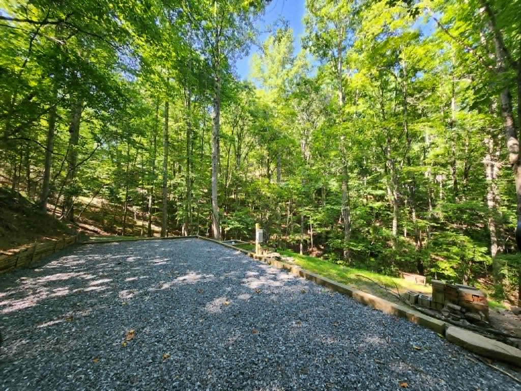 431231 Ellijay
 Land