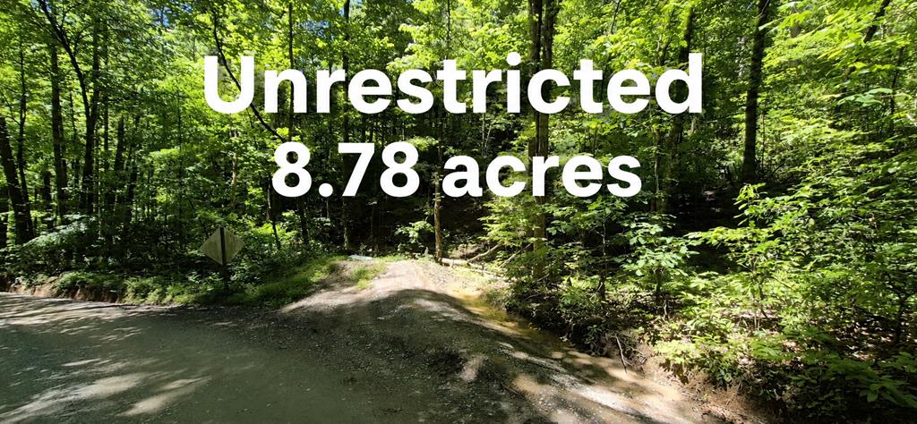 431233  Land