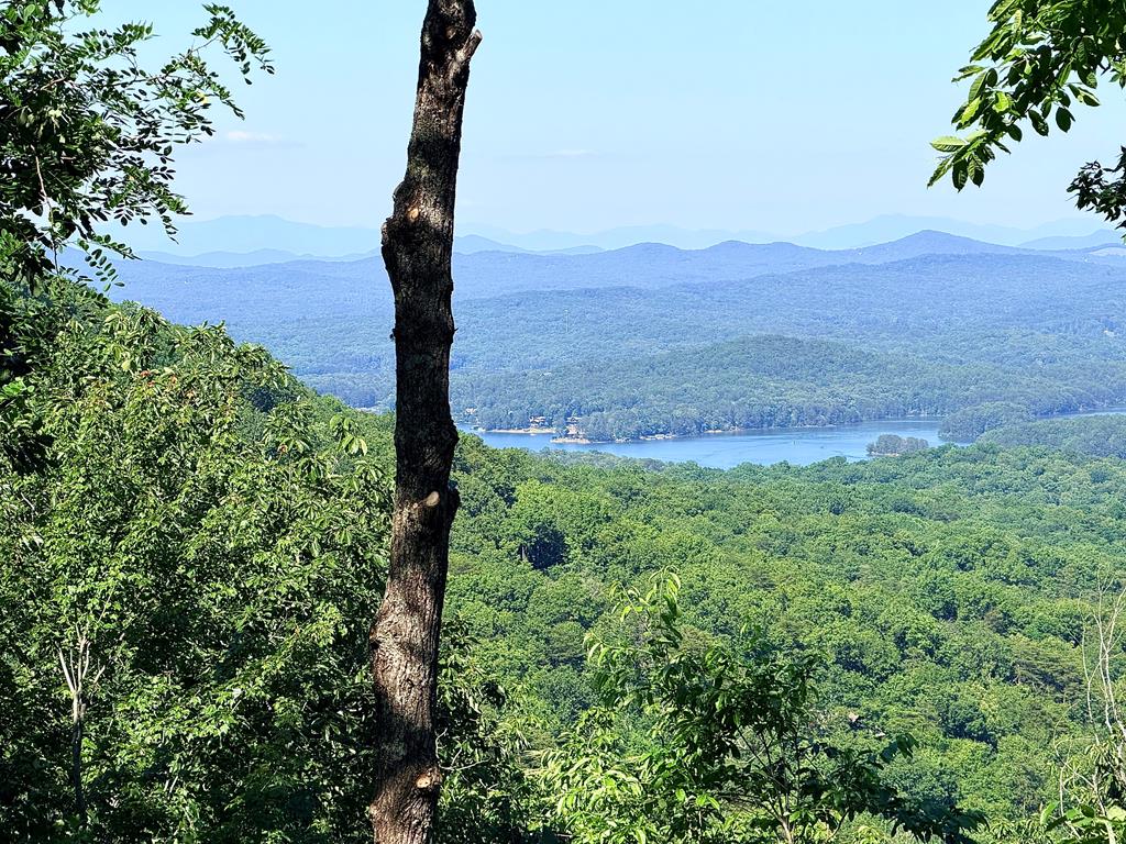 431237 Blue Ridge
 Land