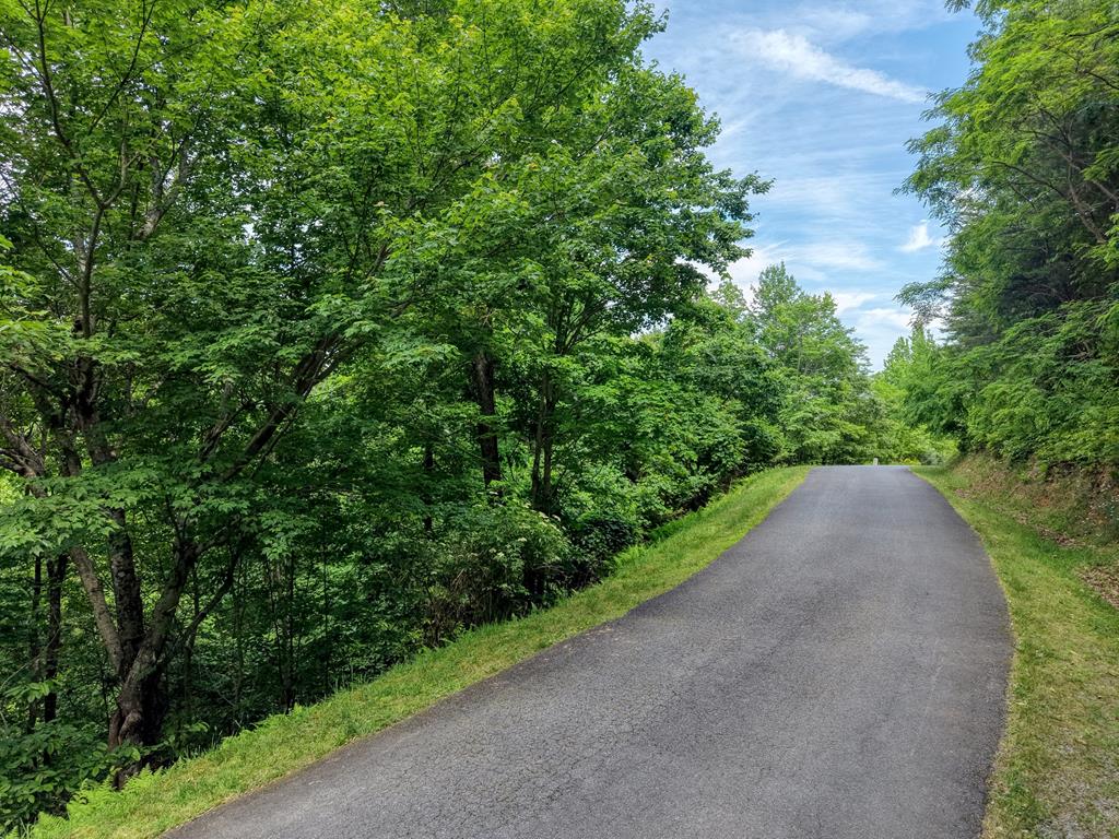 431237 Blue Ridge
 Land