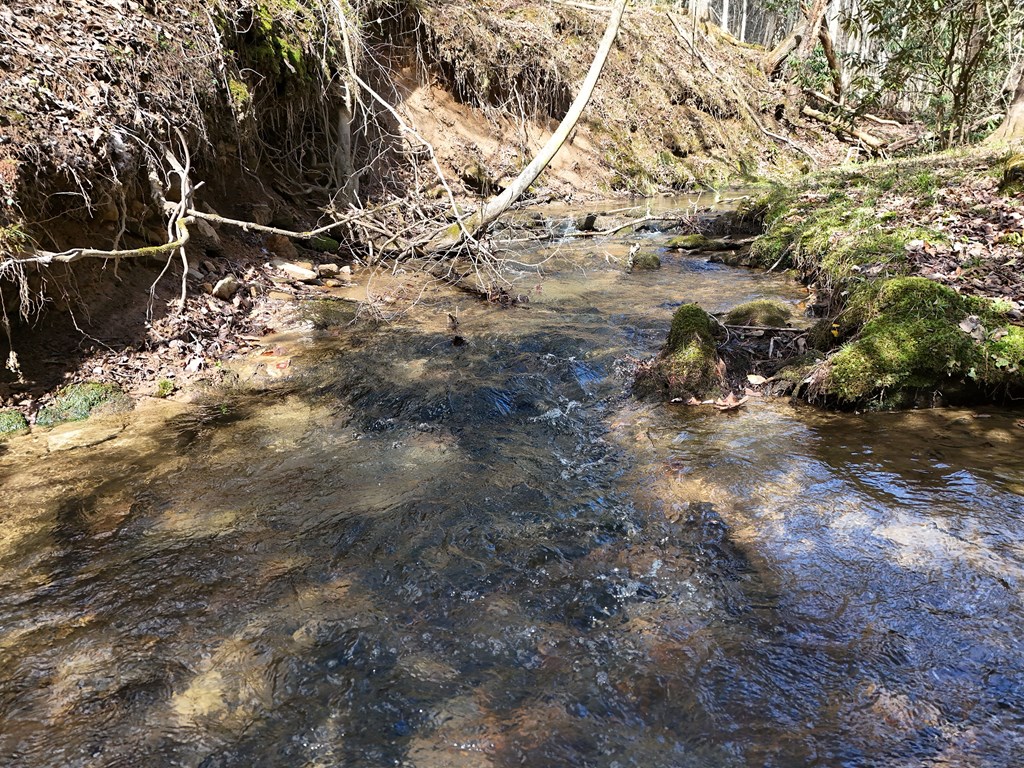 431276 Mineral Bluff
 Land