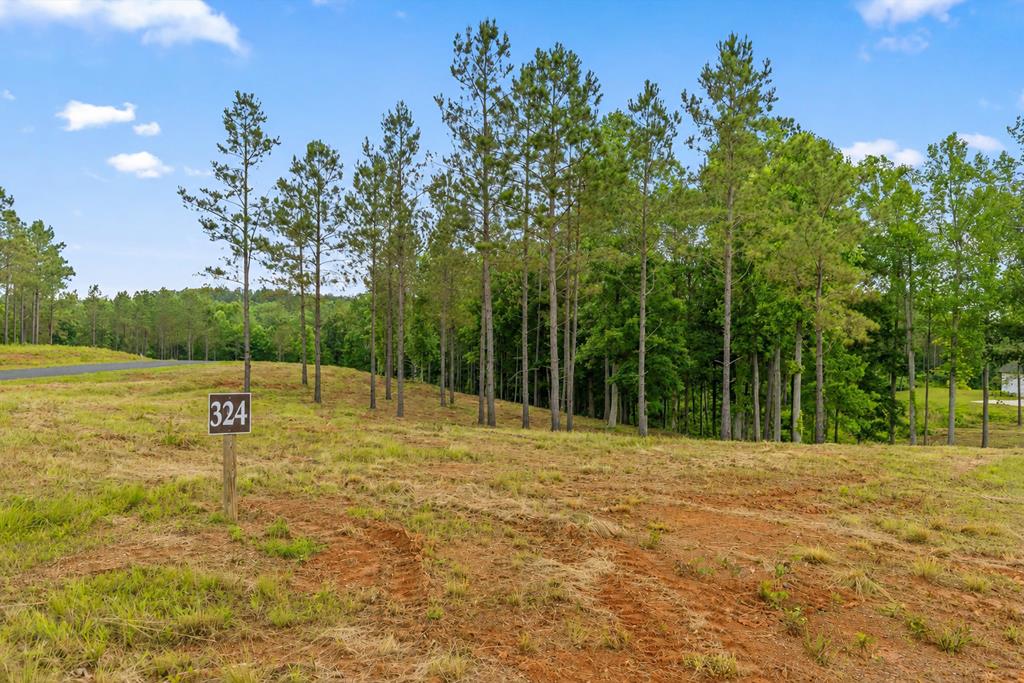 431278  Land