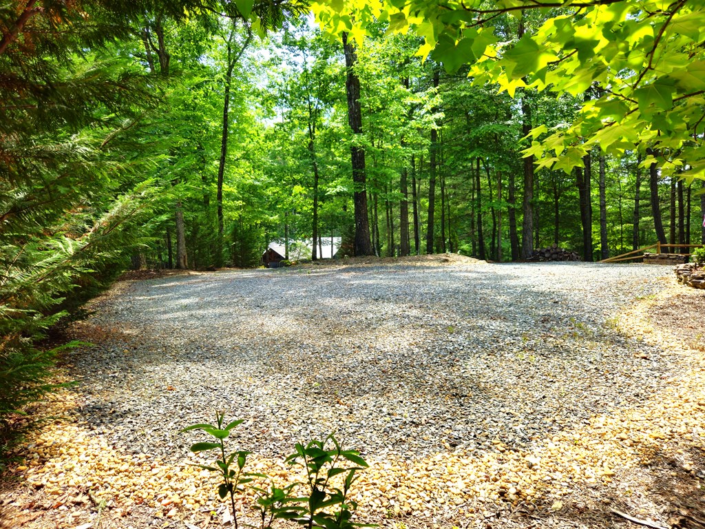 431283 Morganton Active