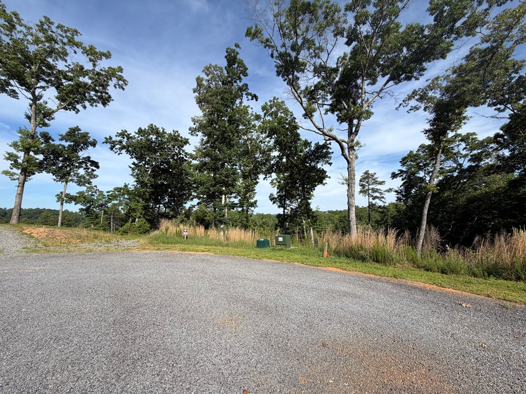 431284 Ellijay
 Land