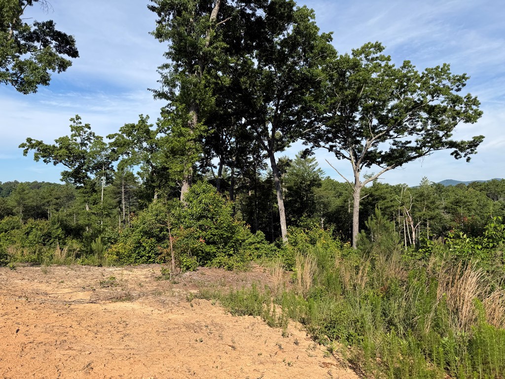 431284 Ellijay
 Land